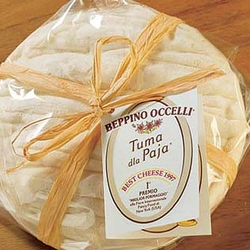 Beppino Occelli Tuma d la Paja Käse Spezialität aus Italien