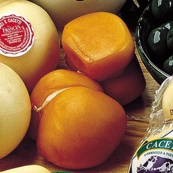 Cacetto affumicato geräucherter süditalienischer Kuhmilch-Käse Kampanien Caseificio Francia