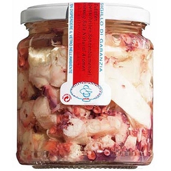 Calamari Polypenscheiben Ligurien Siccardi