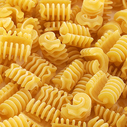 Fisarmoniche Pasta