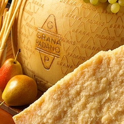 Grana Padano DOP Käse aus Italien