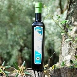 Olearia San Giorgio L Aspromontano BIO Testsieger Feinschmecker Olio Award 2010 mild mildfruchtig
