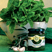 Basilikum Pesto Genoveser Art nach altem Rezept