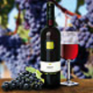 Casa Defra Merlot del Veneto DOC 2010