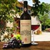 Chianti Classico DOCG 2006 Panzano