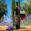Chianti Classico DOCG 2006 Riserva Castelgreve Wein Italien