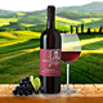 Chianti DOCG Castelgreve Wein Toskana Italien
