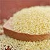 Cous Cous