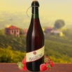 Fragolino Rosso 12er Vorteilspaket Terra del Sole