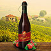 Fragolino Rosso Terre del Sole Contri Italien Perlwein