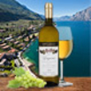 Lugana DOC Azienda Vini Bottarelli