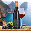 Primitivo IGT Puglia Casa Defra