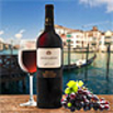 Ripasso Valpolicella DOC 2008 Classico Superiore