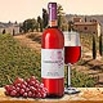 Rosato Toscano IGT Rose Wein Toskana Castelli del Grevepesa