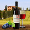 Rosso Toscano IGT Castelgreve 2010 Rotwein Italien