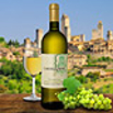 Vernaccia di San Gimignano DOCG 2009 Castelgreve bianco