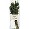 Wilder Oregano aus Kalabrien