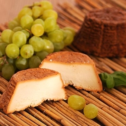 Ricottina affumicata geräucherter Ricotta Frischkäse