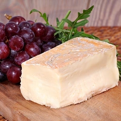 Taleggio DOP Gourmet Weichkäse Lombardei Italien