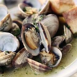 Venusmuscheln Vongole al Naturale Noi Voi